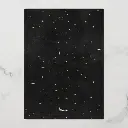 celestial_midnight_black_stars_moon_wedding_foil_invitation-r497b919e575444919c4027ddf0519428_47ytu_1000.webp